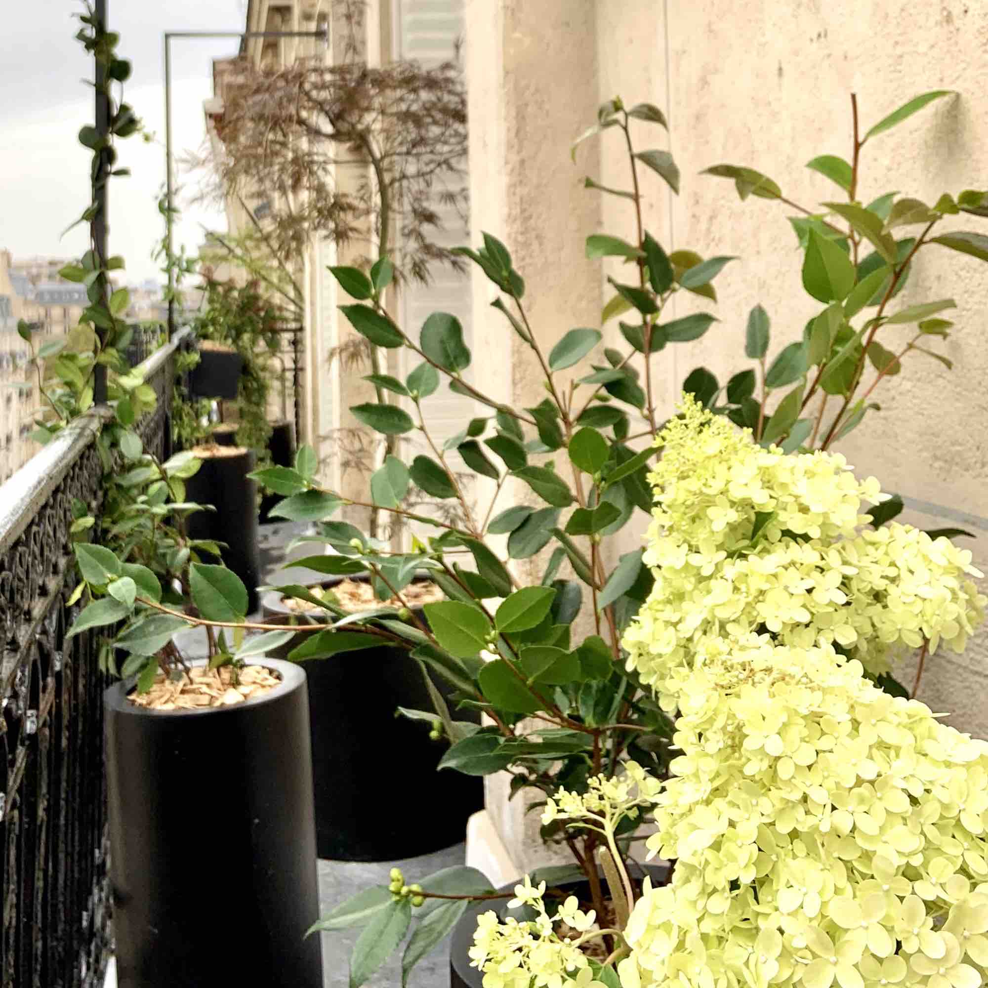 Le balcon vertical (Paris 15)